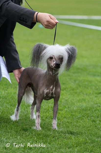 Selfcresteem's Nothing But Naughty