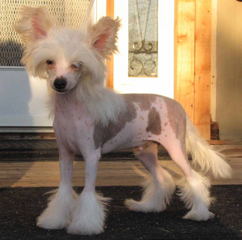 Crest-Vue's Final Justice