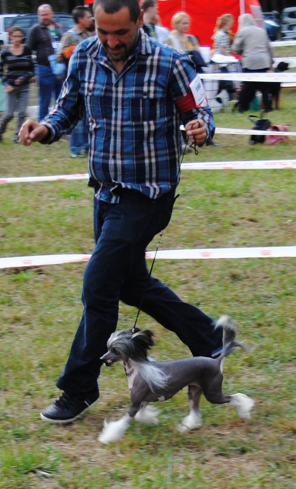 Belle De Minuit Modry vanek