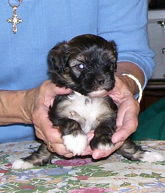 Spiritual Chase the Stars