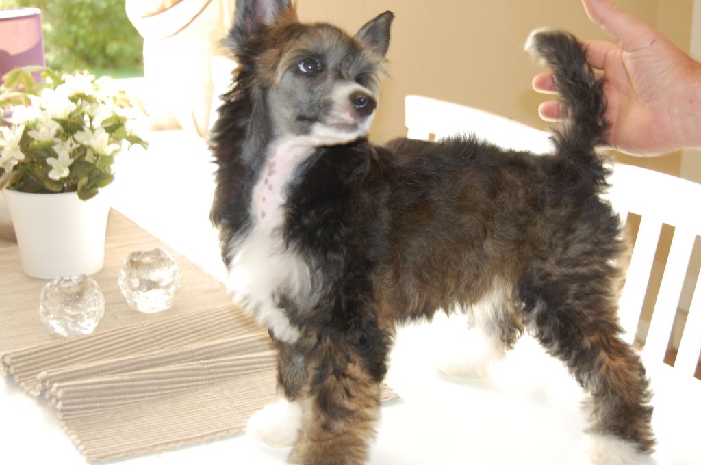 Way More Brave Than You