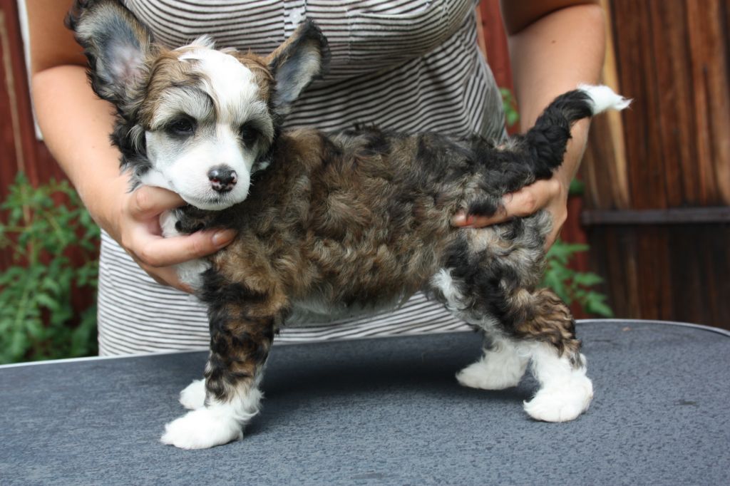 Way More Brilliant Than You