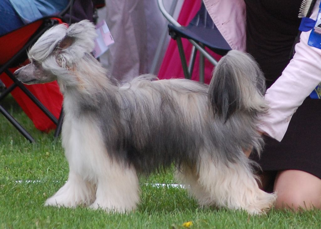 Way More Beloved Than You