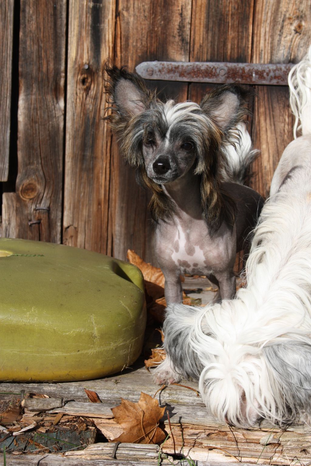 Way More Breathtaking Than You