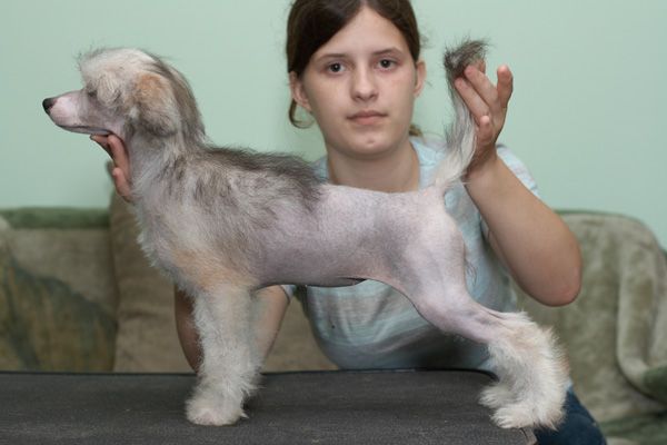 Shelcovij Shlejf Tsitra