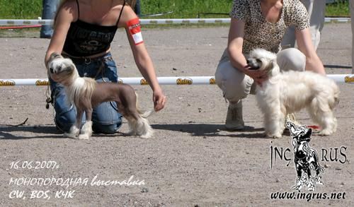 Gratsiya Diana iz Muziki Vetra