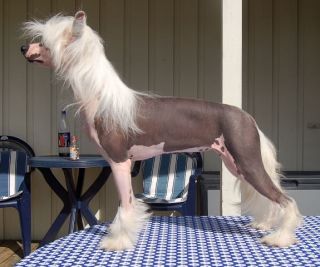 Qu-Ya-Va Octavia Olympia