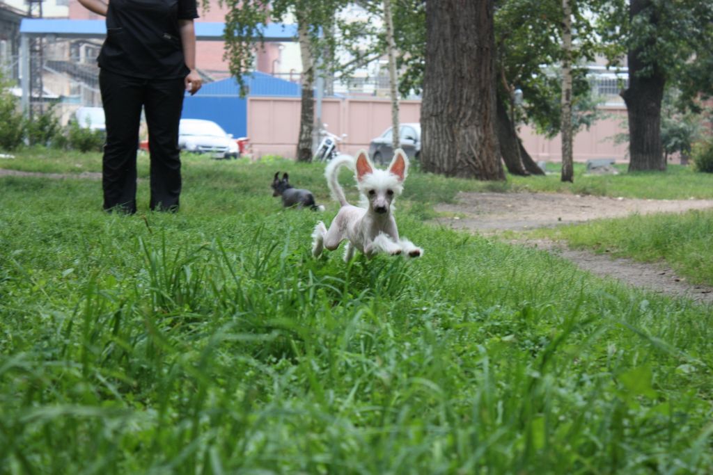 Touch Beauty  Believe in You