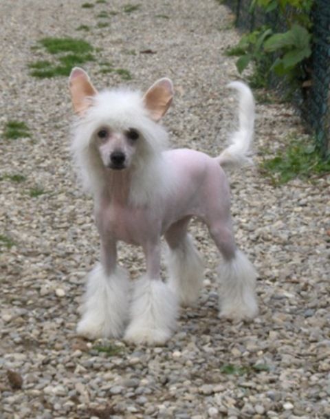 Lady Ml Fly To the Moon