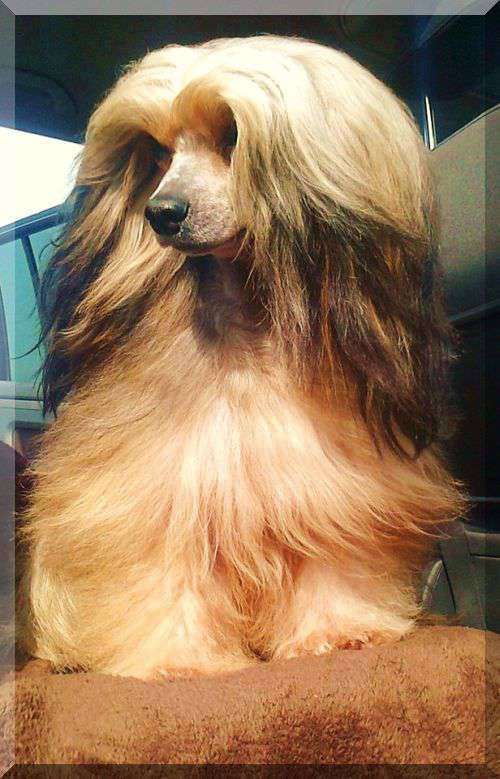 Egbert od Sv Linharta