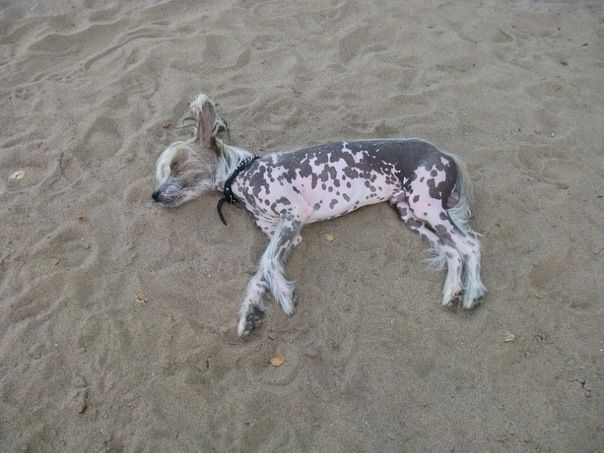 Grand Sunlife Gideon Oberson