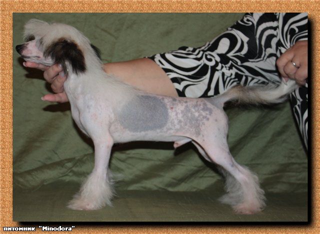 Romanzo Sole Minodora