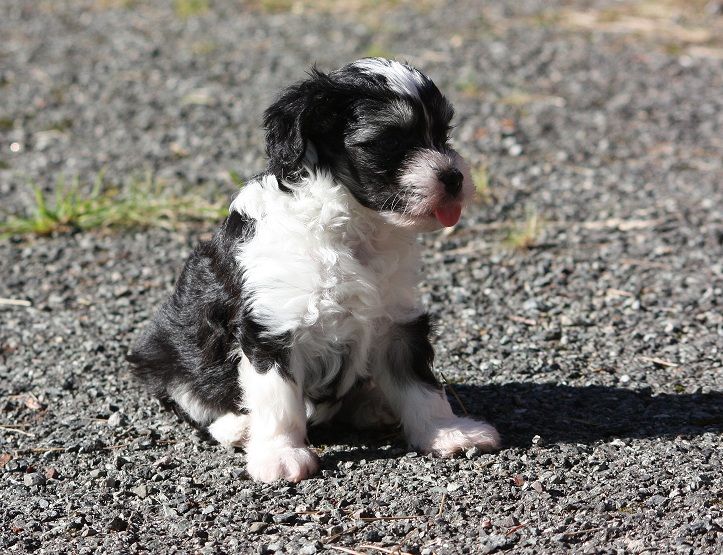 Local Hero's Baby Boy