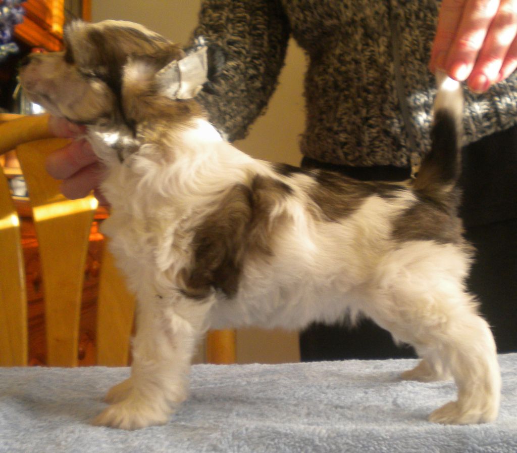 Liliah Plz Dont Eat The Dasies