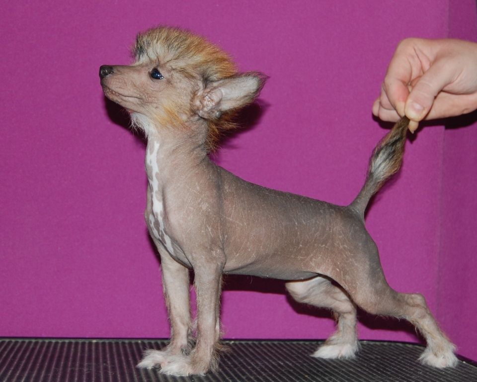 True Magnifisen Jurmala