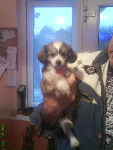 The Colour Magician by sigyns