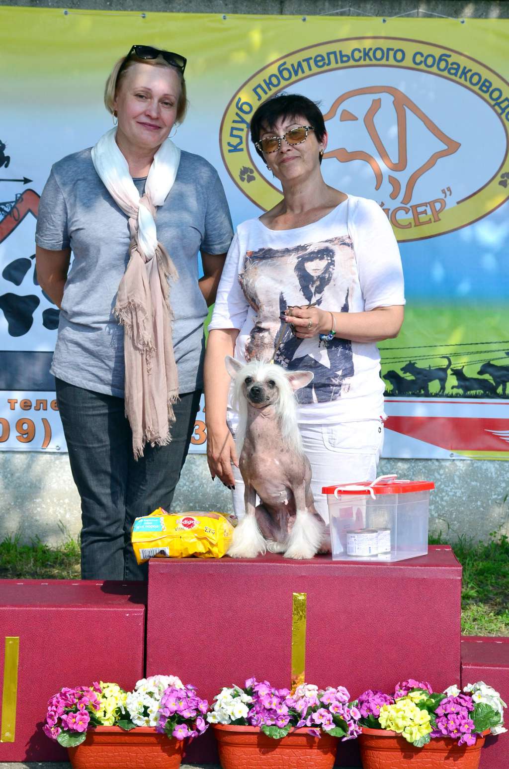 Ai'avva Malenkiy Angel