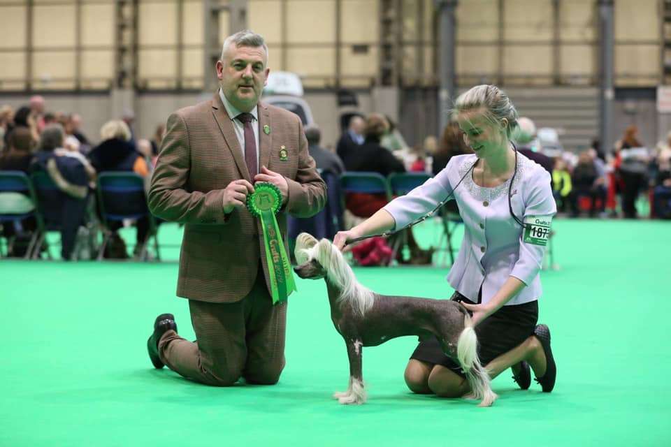 Neddies Adorable Alram