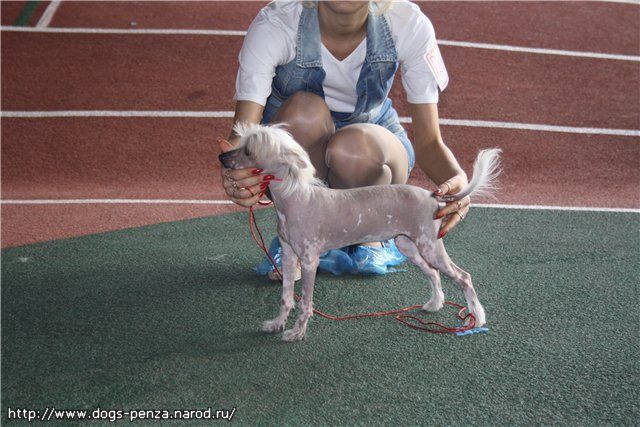 Naimuluna Line Illariya