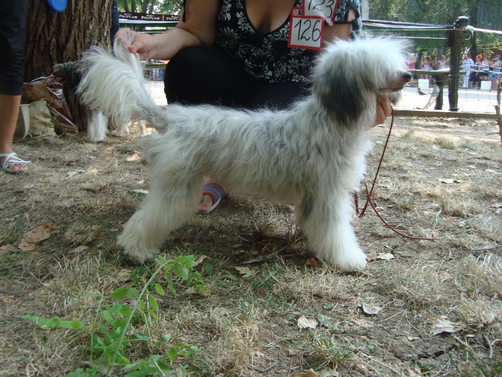 Junimark Diana the Small Princess