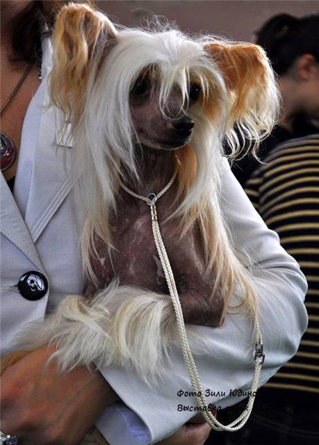 Endless kiss Kalyssa Kelula 