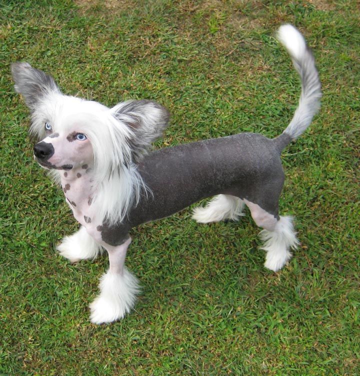 Inya Dreams Just My Imagination