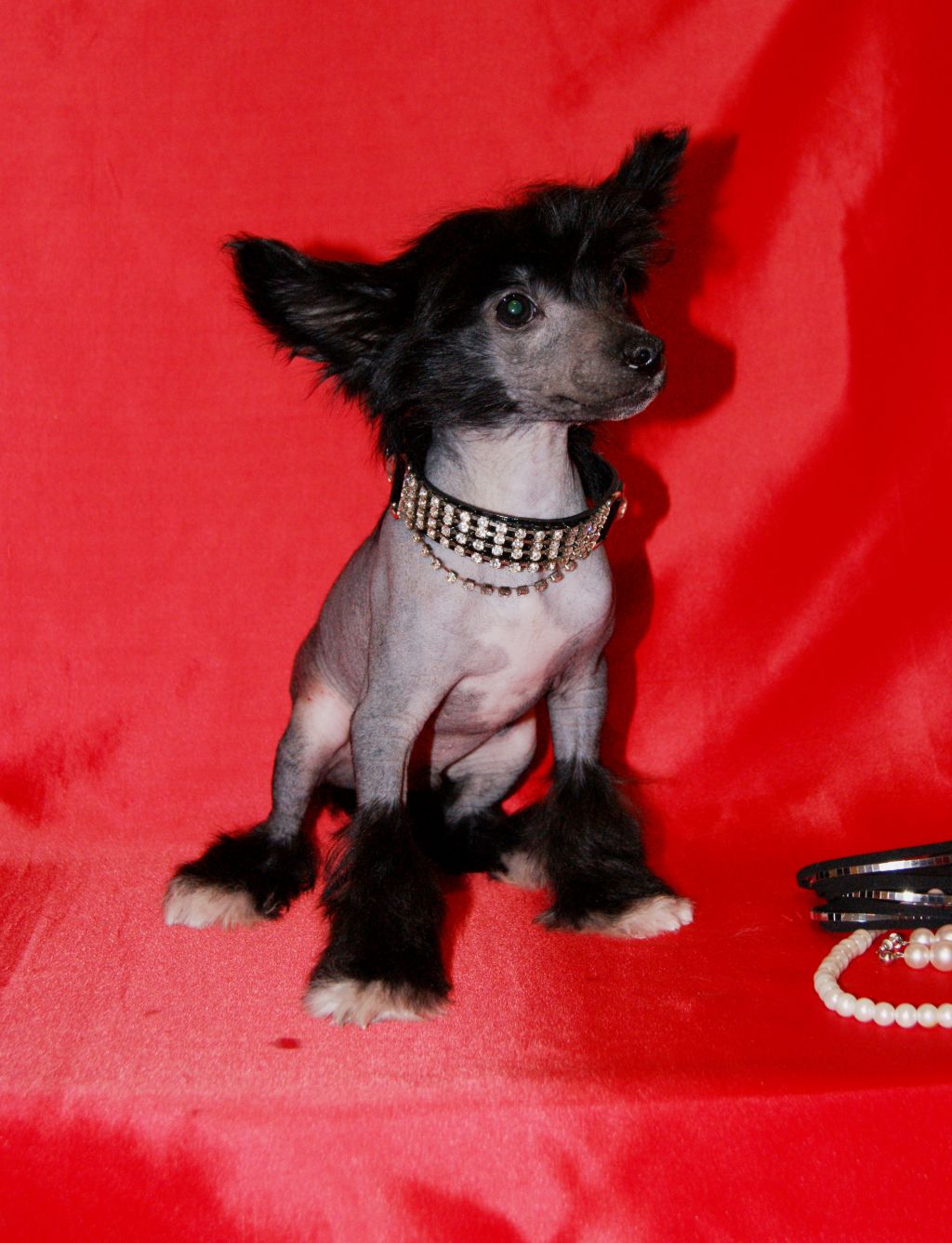 Oks Company  Very Small