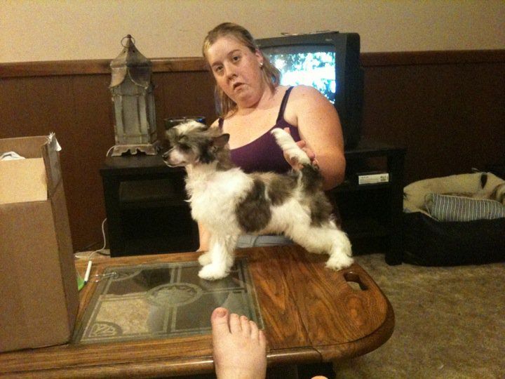 PopDreamer's First Edition