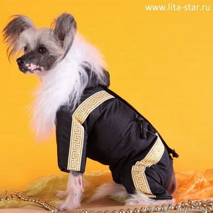 Sapfir iz Tsarskogo Sela Vorozheia