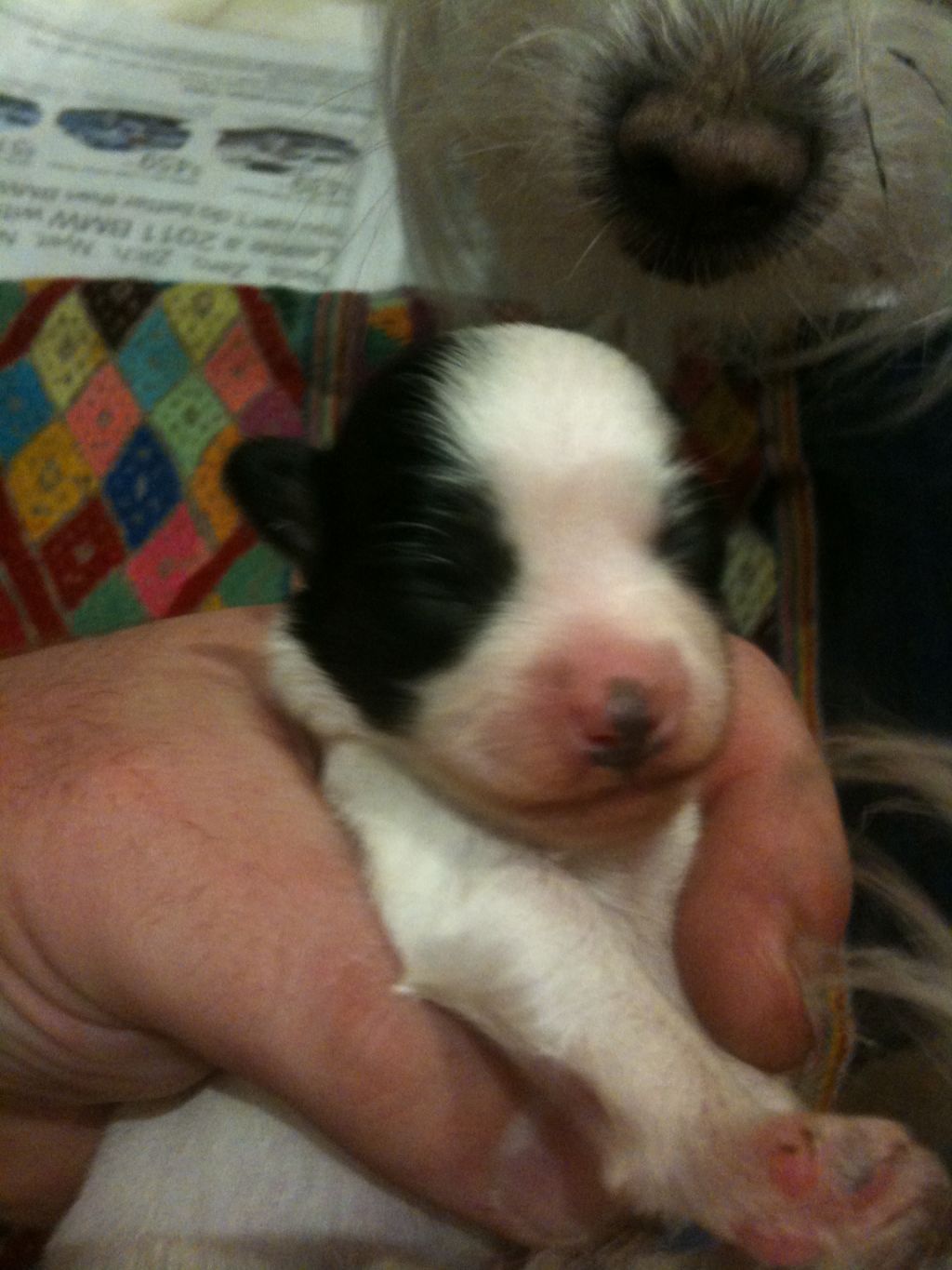 Empire Broadway Lafayette