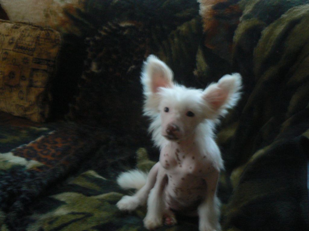 Doucai's Please No Tease