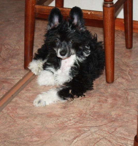 Kado Kitaiski Potselui Lilit