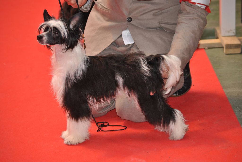 moon harbour  flashback