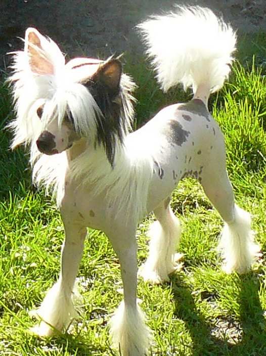 Jolie fille Top Model De Rama