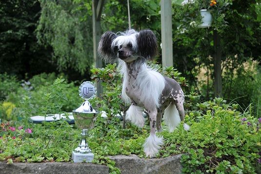 Frendor's Victoria Secret