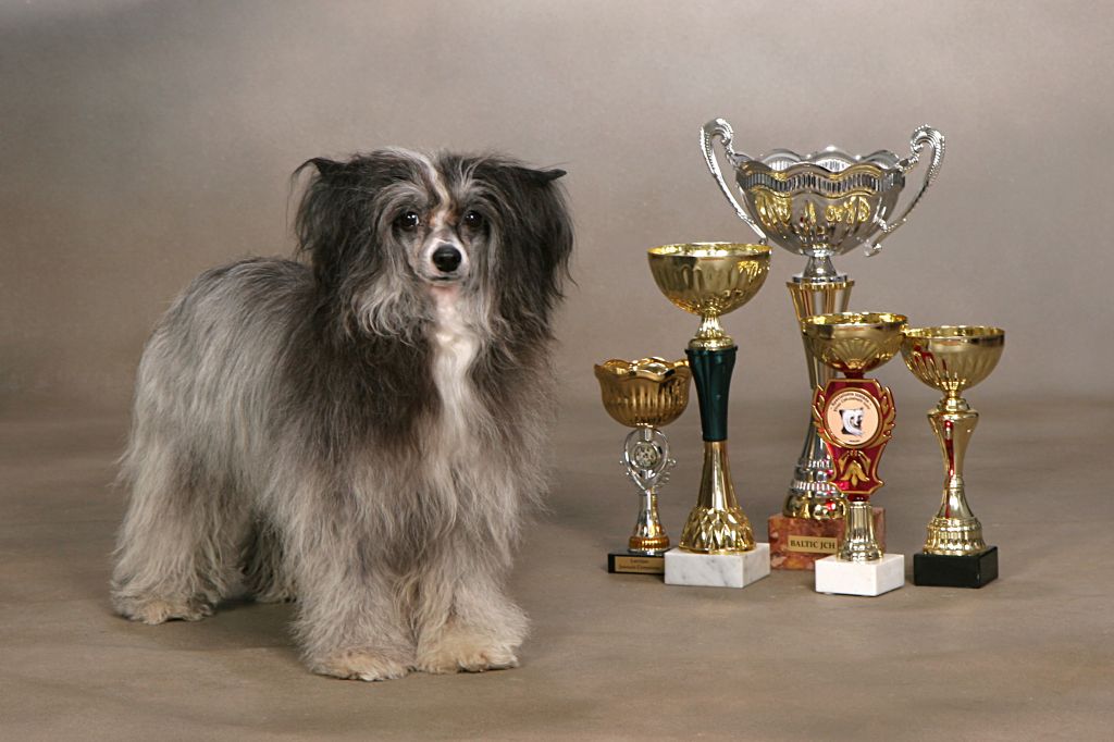 Cleopatra Edelgelo MItau