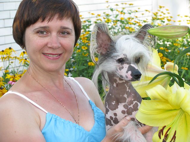   Hohlatiy glamour Tinora magestic