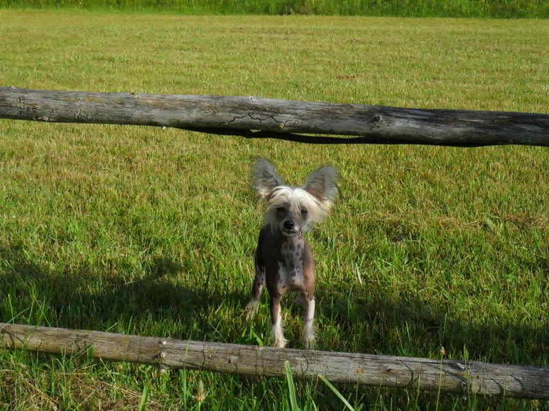 McShane's I'm Kinduva Big Deal