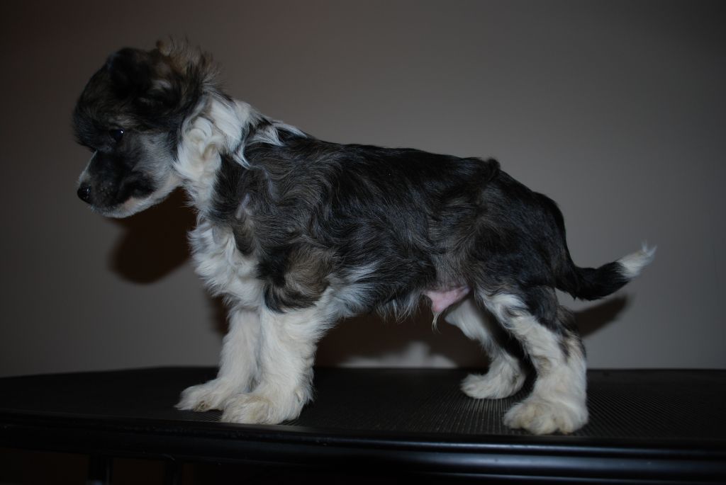 Moelmo's Instant Care