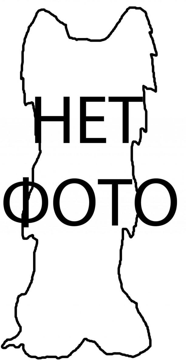 Viva