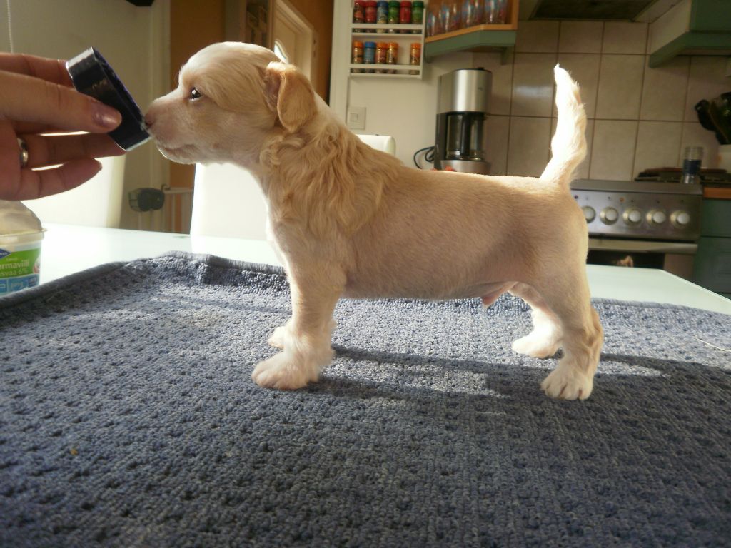 Candy Queen's Justify My Love