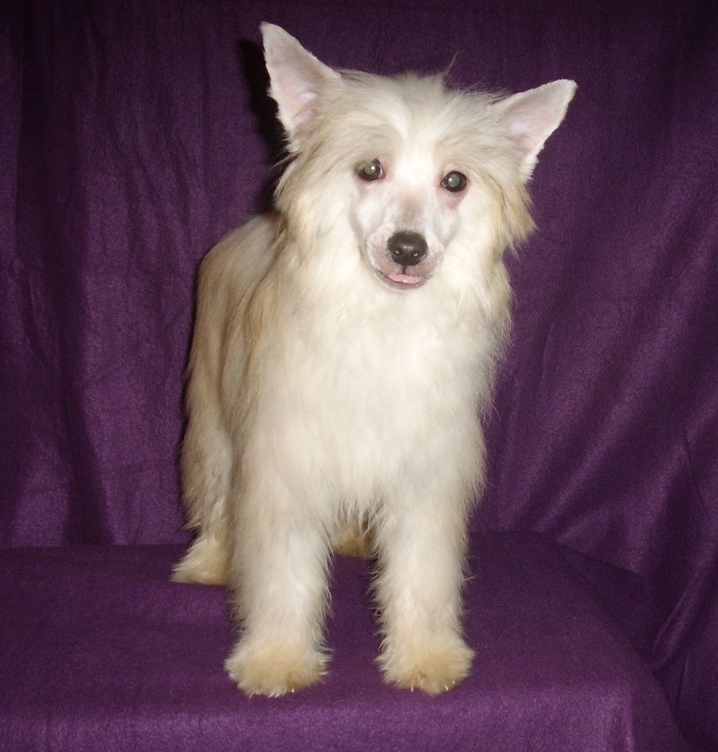 Choco-Bit John Rimbauer