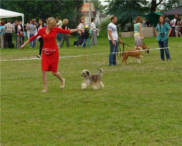 Addzho Toshi Aleksa's House