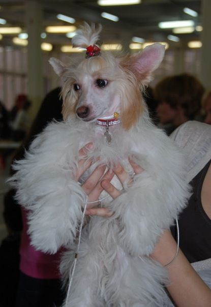 Alvine Band Jennifer