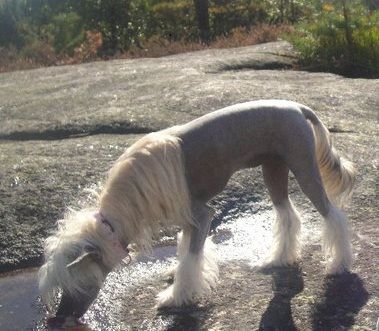 Absolute Souls New Moon