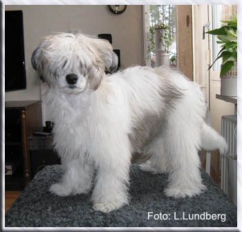 YaGudina's Proud Mary