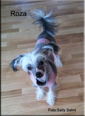 YaGudina's Need Someone to Hold