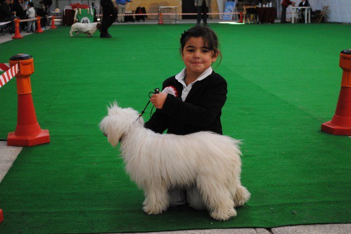 Sigyns Made For France