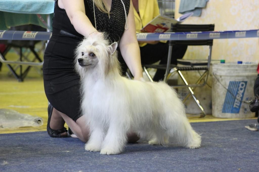 Ashantal Vault Of Heaven