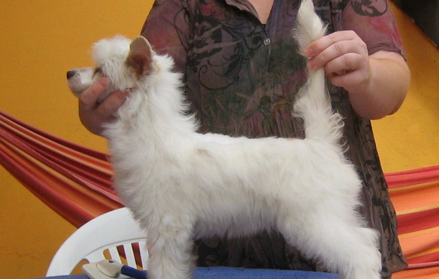 Saint Christopher's magic Ariel